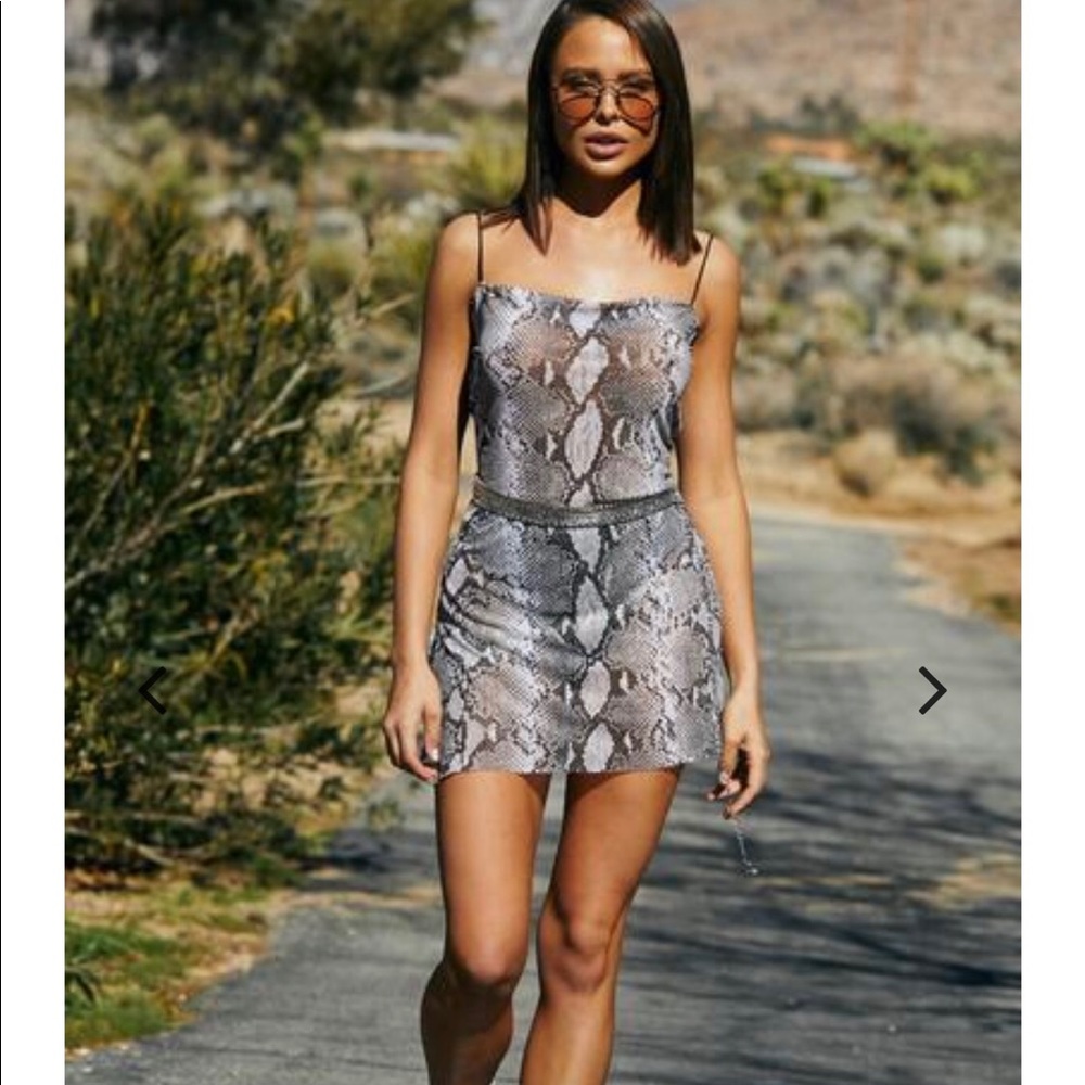 Mojave Grey Snake Mesh Dress